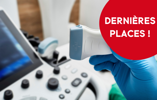 ID1121 - Introduction &agrave; l'&eacute;chographie abdominale des carnivores domestiques - &eacute;dition 13